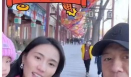 娱乐圈吃瓜大合集免费,揭秘免费吃瓜大合集背后的精彩故事